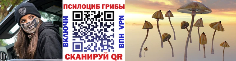 Псилоцибиновые грибы Psilocybine cubensis  Кемерово 